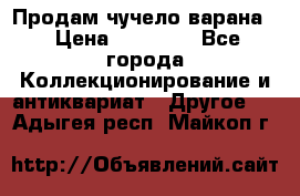 Продам чучело варана. › Цена ­ 15 000 - Все города Коллекционирование и антиквариат » Другое   . Адыгея респ.,Майкоп г.